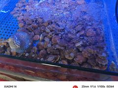 -鼓歌海鲜舫·手抓海鲜(大学城店)
