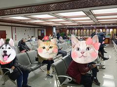 -中国中医科学院西苑医院(本部)