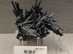 -贵州省地质博物馆