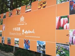 -上海鲜花港