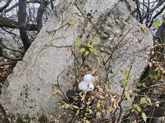 -秦岭终南山世界地质公园翠华山景区