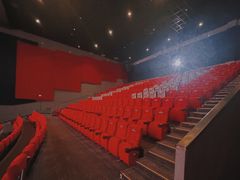 -万达影城(IMAX激光铁西万达广场店)