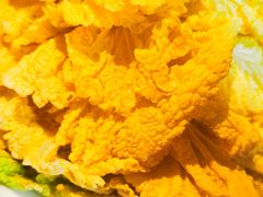 -1369冰火锅(木北路店)