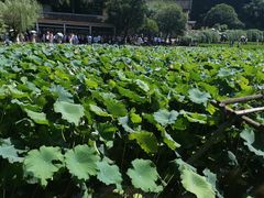 -韶山毛泽东同志故居