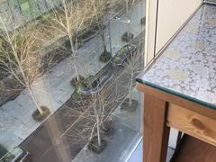 -文三里屯面馆(三里屯店)