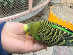 -南宫五洲植物乐园