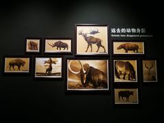 -大庆市博物馆