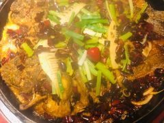 -老板恋上鱼(恒隆广场店)