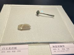 -安阳博物馆
