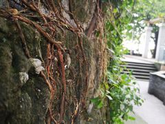 -新都巷步道