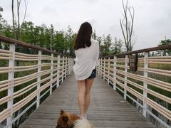 -春花秋色城市公园