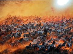 -罗红摄影艺术馆