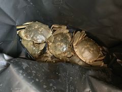 -济南海鲜大市场