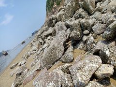 -北岐滩涂