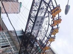 -溪岸路花鸟市场