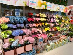 -盒马鲜生(岭南新世界店)