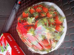 -堤口果品批发市场