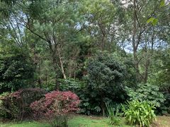 -贵阳市花溪国家城市湿地公园