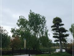 -九科绿洲