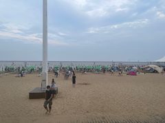 -碧海金沙