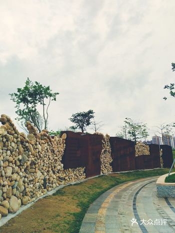 这应该是我最钟爱的深圳公园了，取名音乐公园