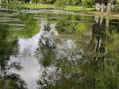 -长白岛森林公园