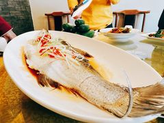 -北京小肠陈饭庄(方庄店)