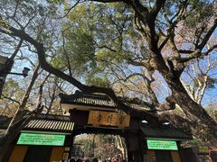 -灵顺寺