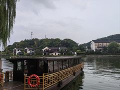 -鲁镇