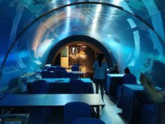 -海棠湾洲际-涛·海底餐厅·美人鱼·自助餐·海底隧道