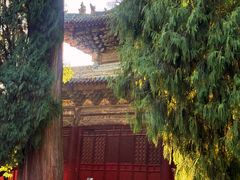 -报恩寺(平武县)