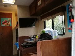 -崇明东平国家森林公园烧烤房车露营地