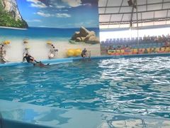 -尼莫海豚馆