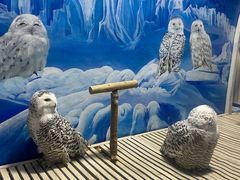 -成都浩海立方海洋公园