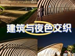 -福田红树林生态公园