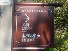 -大罗山风景区