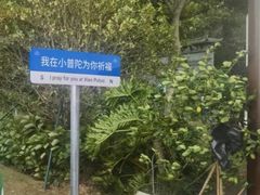 -东钱湖小普陀景区