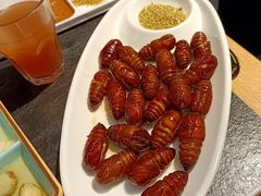 -杨记齐齐哈尔烤肉(五莲路店)