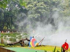 -广州长隆飞鸟乐园