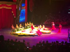 -珠海横琴长隆《卡卡虎奇遇记》