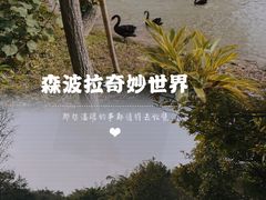 -森波拉奇妙世界