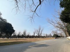 -汉长安城未央宫国家考古遗址公园