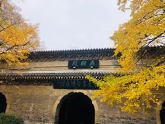 -灵谷景区