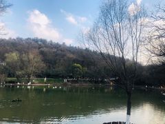 -金陵矩阵(聚宝山公园店)