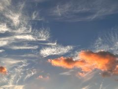 -胜华驾校·小猫学车(银都店)