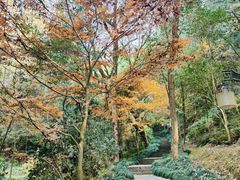 -梦姑塘文化公园