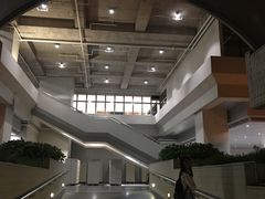-香港大学
