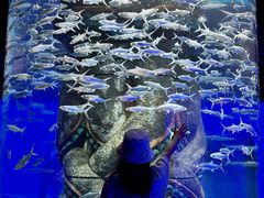 -波塞冬旅游度假区