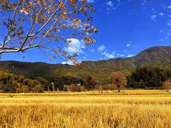 -塔川景区