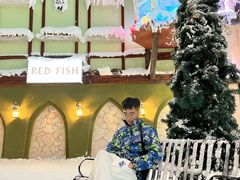 -世界之窗阿尔卑斯冰雪世界